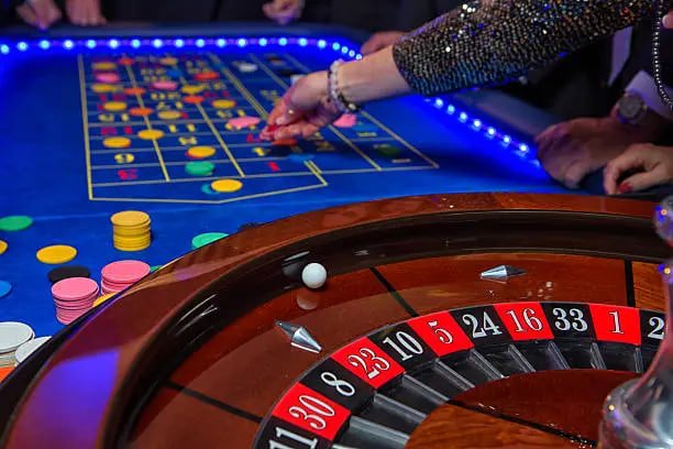 palinko Live Casino